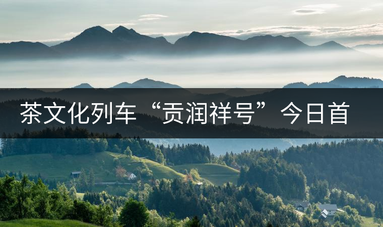 茶文化列車“貢潤(rùn)祥號(hào)”今日首發(fā) 普洱茶膏搭上高鐵走出云南