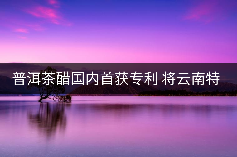 普洱茶醋國內(nèi)首獲專利 將云南特色推往全國各地 普洱茶醋國內(nèi)首獲專利 將云南特色推往全國各地
