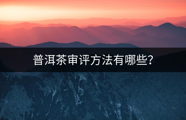 普洱茶審評方法有哪些？