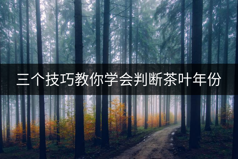 三個(gè)技巧教你學(xué)會判斷茶葉年份