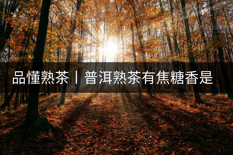 品懂熟茶丨普洱熟茶有焦糖香是好還是不好的表現(xiàn)？