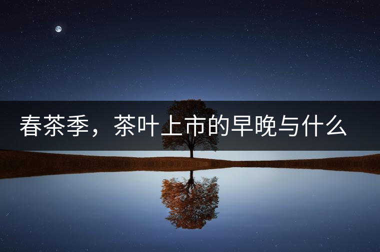 春茶季，茶葉上市的早晚與什么有關(guān)