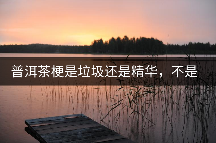 普洱茶梗是垃圾還是精華，不是一個人說的算