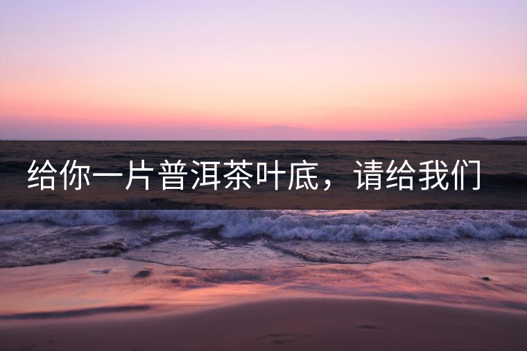 給你一片普洱茶葉底，請(qǐng)給我們聊聊它的生態(tài)和樹齡