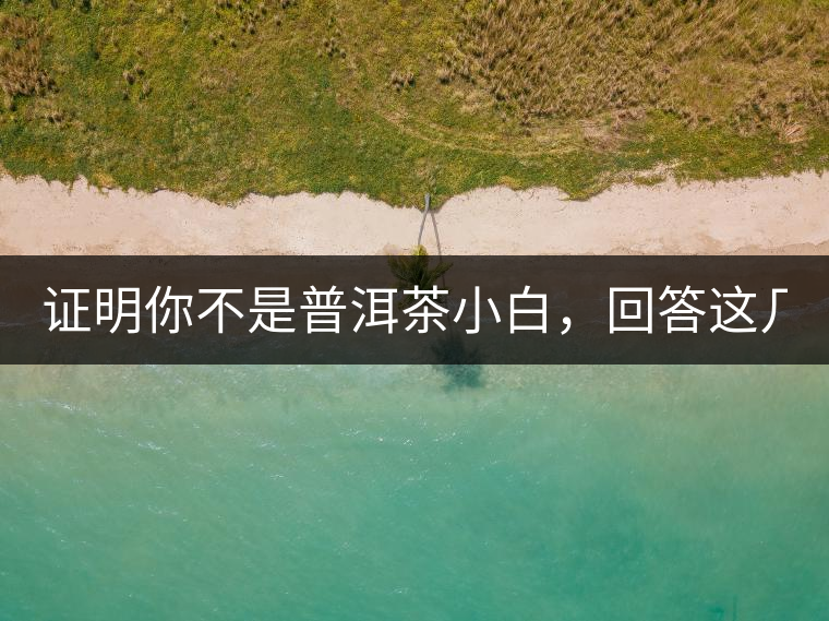 證明你不是普洱茶小白，回答這幾個問題先！