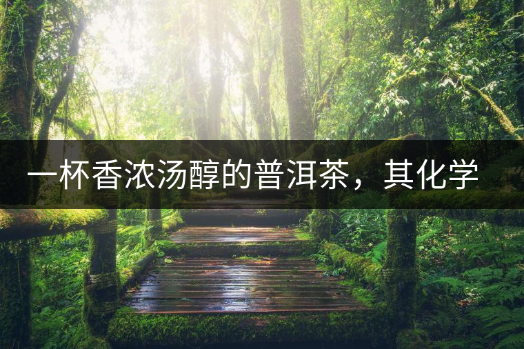 一杯香濃湯醇的普洱茶，其化學(xué)成分是怎樣的？