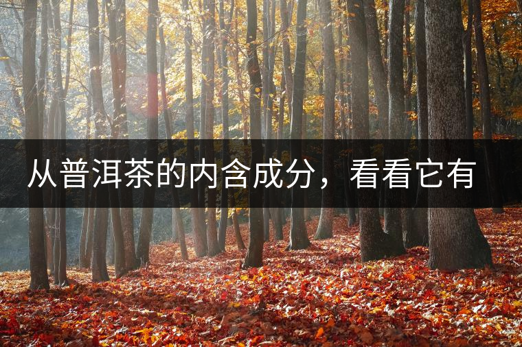 從普洱茶的內(nèi)含成分，看看它有什么功效？