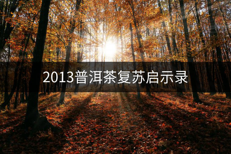 2013普洱茶復(fù)蘇啟示錄