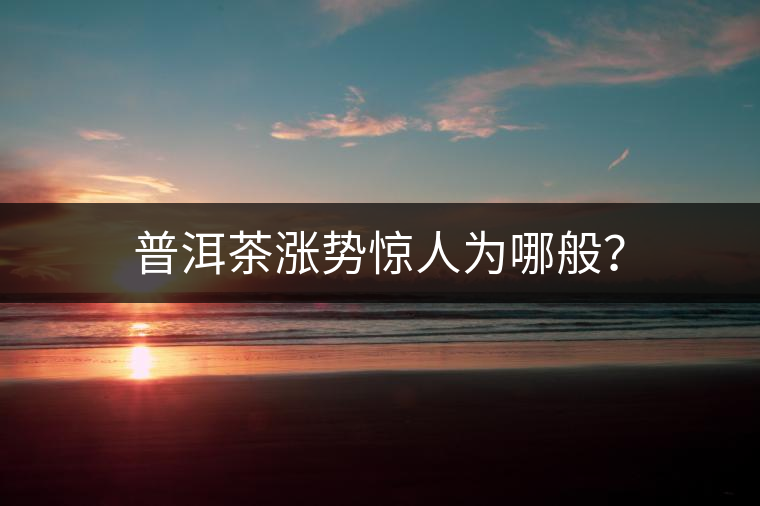 普洱茶漲勢(shì)驚人為哪般？