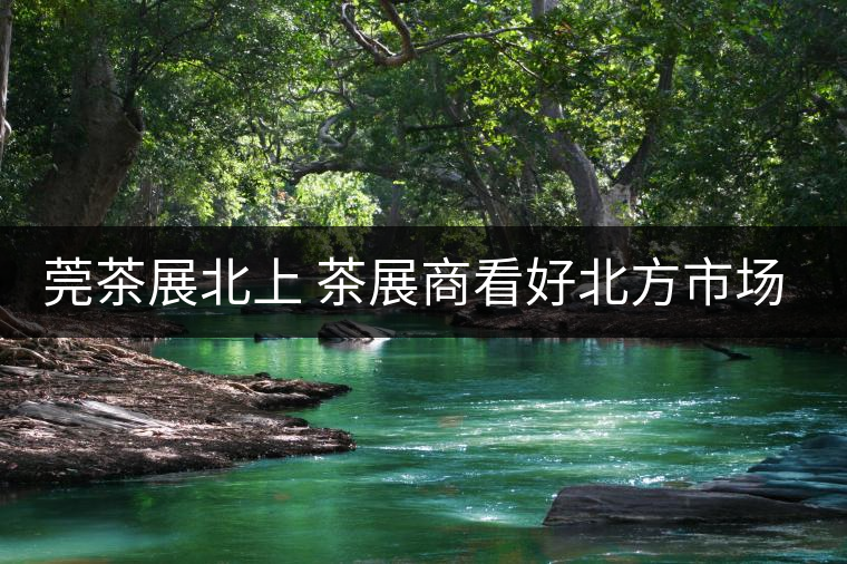 莞茶展北上 茶展商看好北方市場(chǎng)！