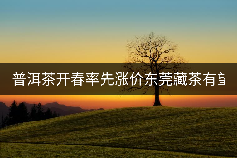 普洱茶開(kāi)春率先漲價(jià)東莞藏茶有望“開(kāi)倉(cāng)”