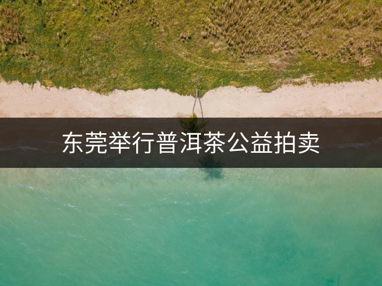 東莞舉行普洱茶公益拍賣