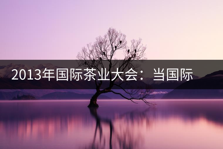 2013年國際茶業(yè)大會：當(dāng)國際元素遇上普洱