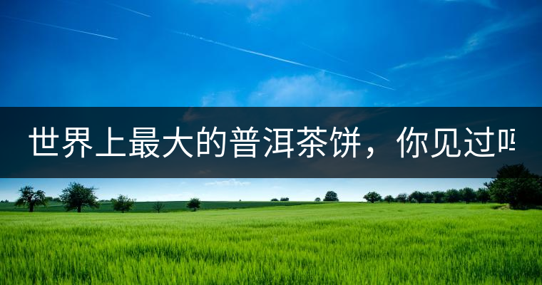 世界上最大的普洱茶餅，你見(jiàn)過(guò)嗎？
