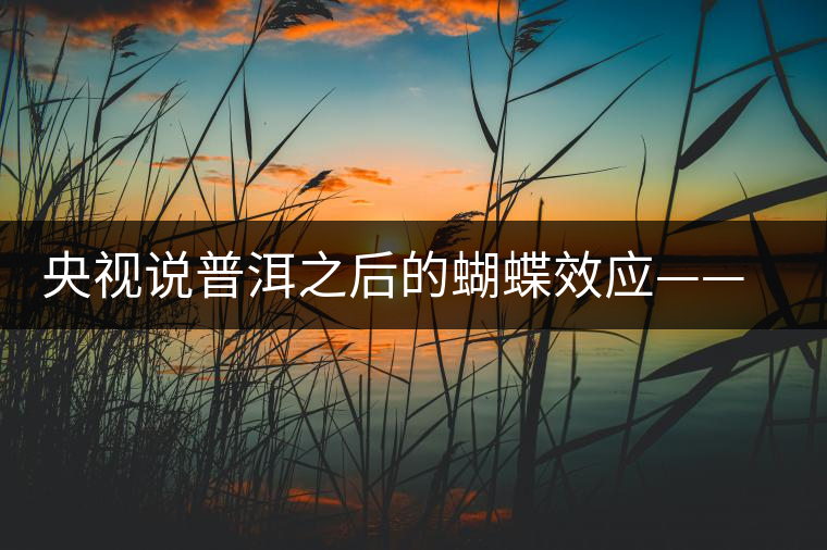央視說普洱之后的蝴蝶效應(yīng)——過度開采會出現(xiàn)“死循環(huán)”？