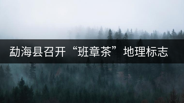 勐?？h召開(kāi)“班章茶”地理標(biāo)志認(rèn)證評(píng)審會(huì)