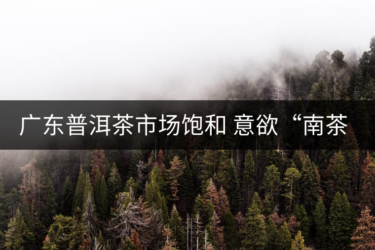 廣東普洱茶市場飽和 意欲“南茶北銷”