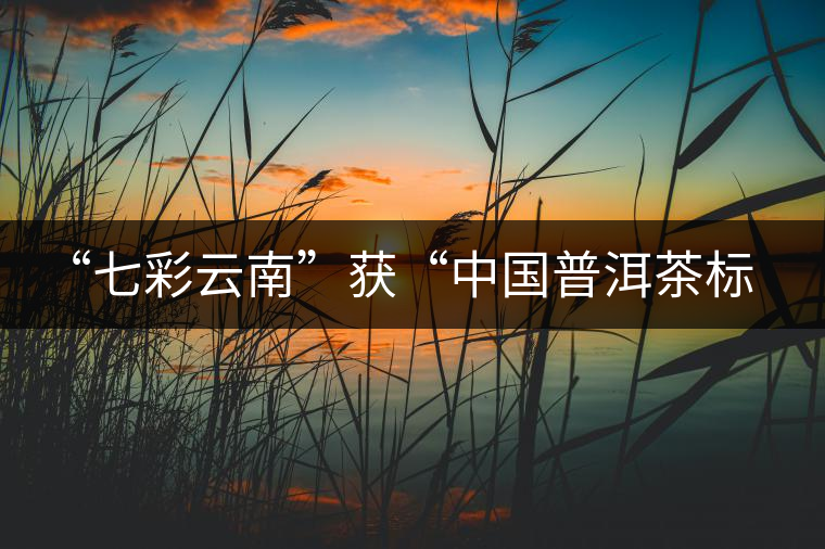 “七彩云南”獲“中國普洱茶標志性品牌”