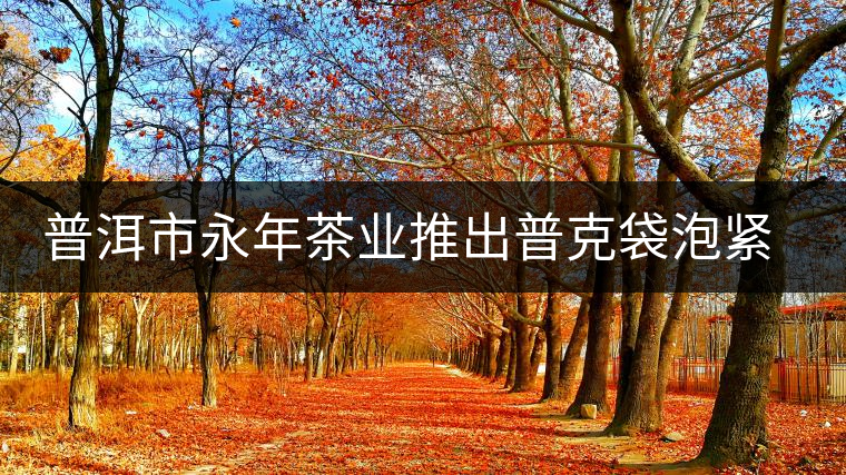 普洱市永年茶業(yè)推出普克袋泡緊壓茶