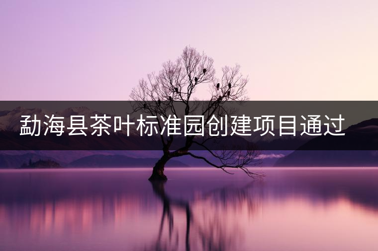 勐?？h茶葉標(biāo)準(zhǔn)園創(chuàng)建項(xiàng)目通過(guò)省級(jí)驗(yàn)收