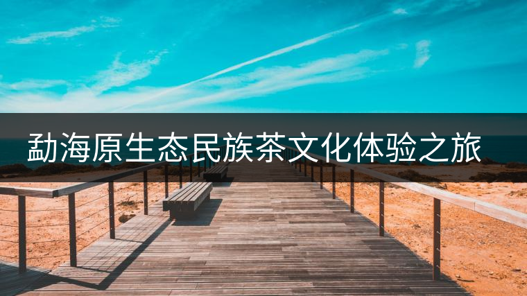 勐海原生態(tài)民族茶文化體驗之旅拉開序幕 勐海原生態(tài)民族茶文化體驗之旅拉開序幕