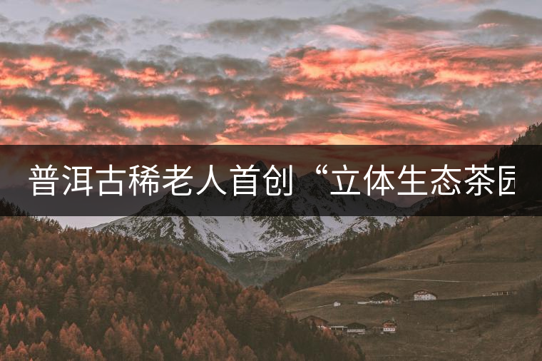 普洱古稀老人首創(chuàng)“立體生態(tài)茶園”