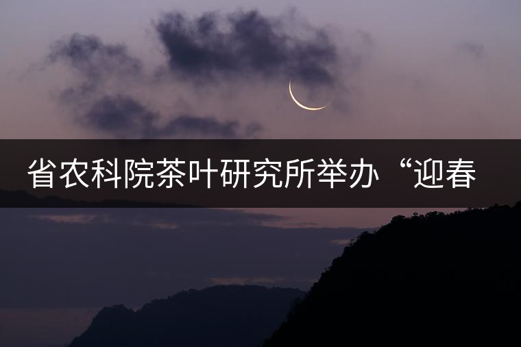 省農(nóng)科院茶葉研究所舉辦“迎春節(jié)、慶元旦”籃球聯(lián)誼賽
