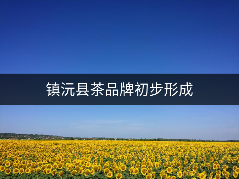 鎮(zhèn)沅縣茶品牌初步形成