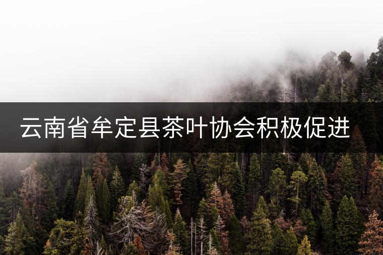云南省牟定縣茶葉協(xié)會(huì)積極促進(jìn)茶葉產(chǎn)業(yè)化發(fā)展