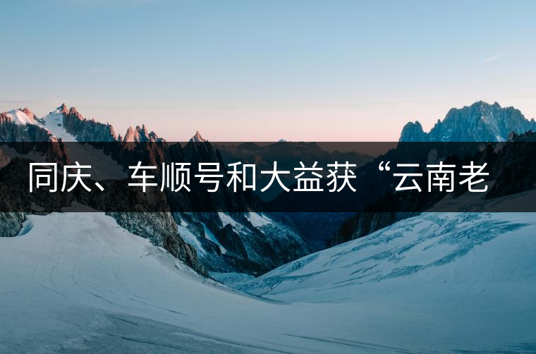 同慶、車順號和大益獲“云南老字號”稱號