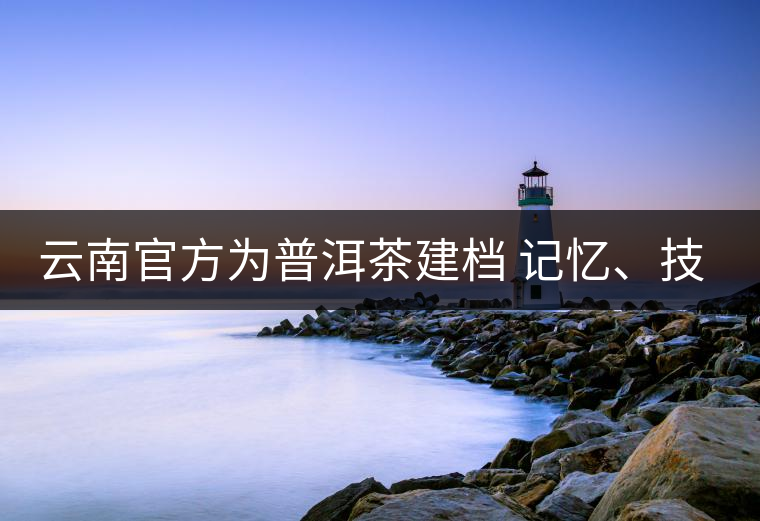 云南官方為普洱茶建檔 記憶、技藝雙傳承