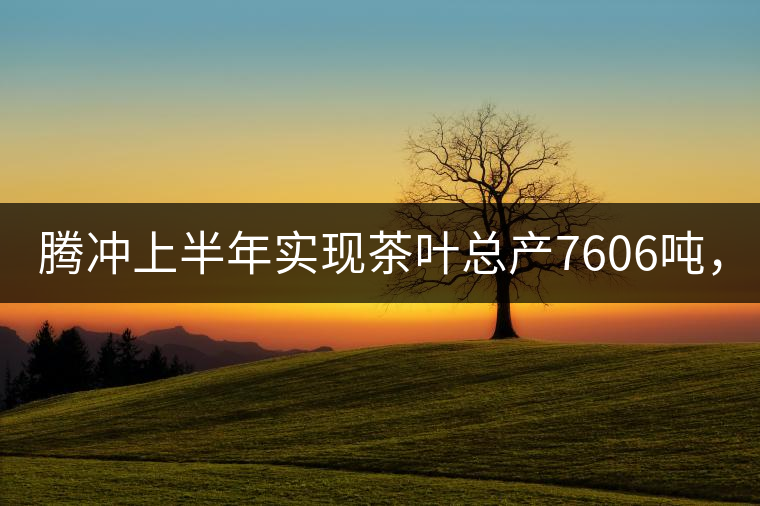 騰沖上半年實現(xiàn)茶葉總產(chǎn)7606噸，總產(chǎn)值5.58億元