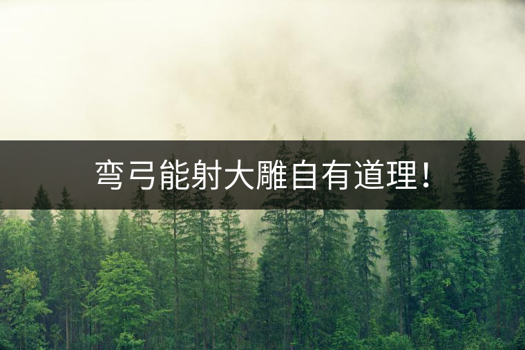 彎弓能射大雕自有道理！