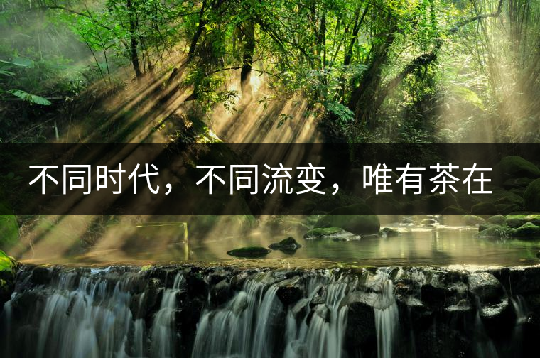 不同時(shí)代，不同流變，唯有茶在傳承