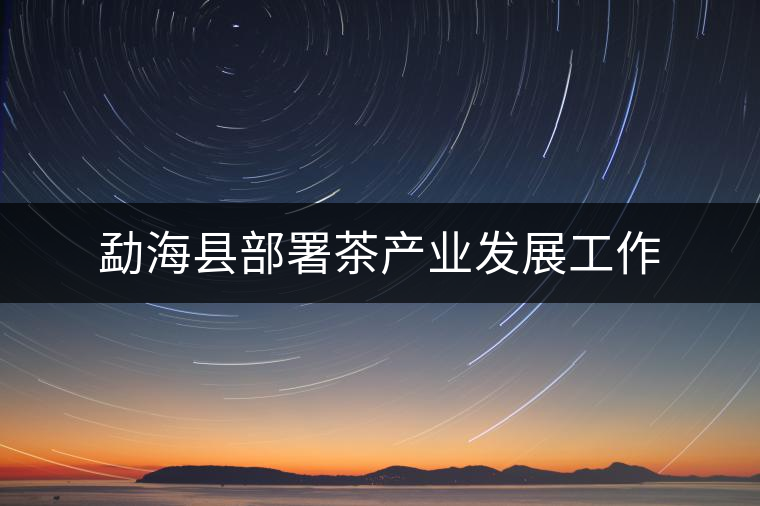 勐?？h部署茶產(chǎn)業(yè)發(fā)展工作