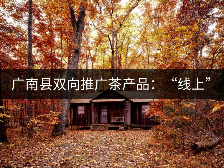 廣南縣雙向推廣茶產(chǎn)品：“線上”銷售茶葉已有100多家，“線下”銷售額已達百萬