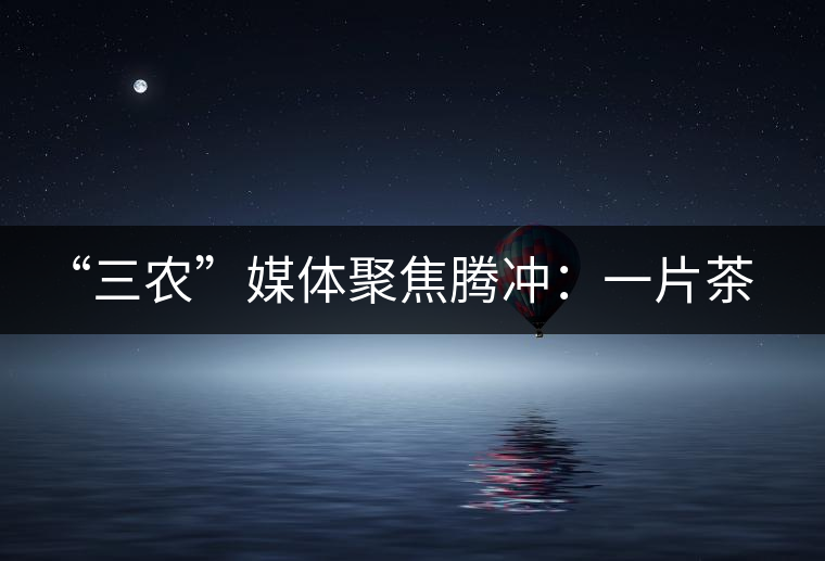 “三農”媒體聚焦騰沖：一片茶葉寫就脫貧及茶葉品牌的塑造