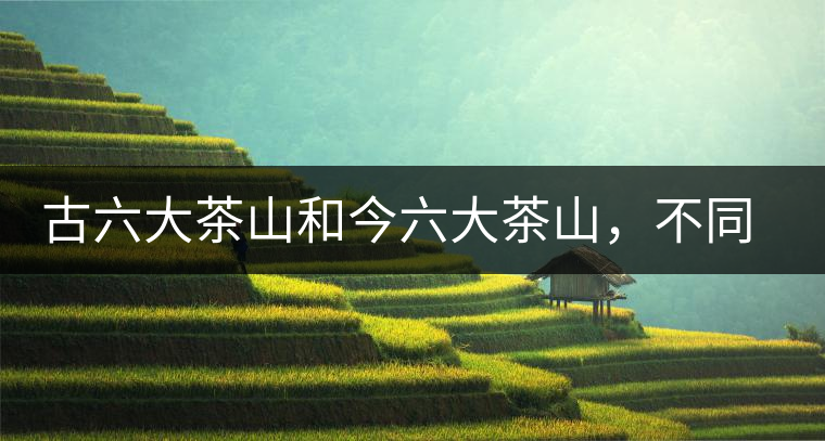 古六大茶山和今六大茶山，不同普洱茶品質(zhì)