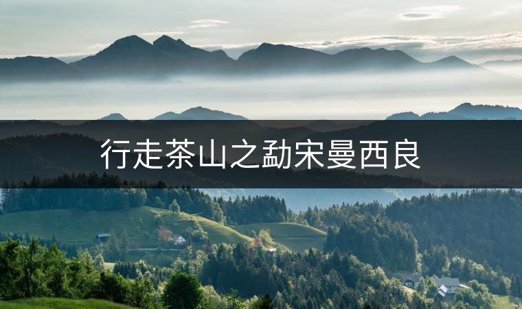 行走茶山之勐宋曼西良