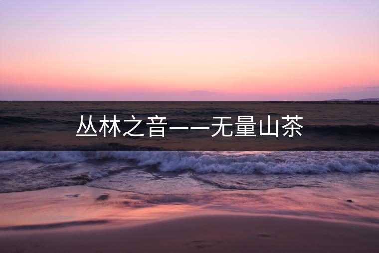 叢林之音——無量山茶 叢林之音——無量山茶