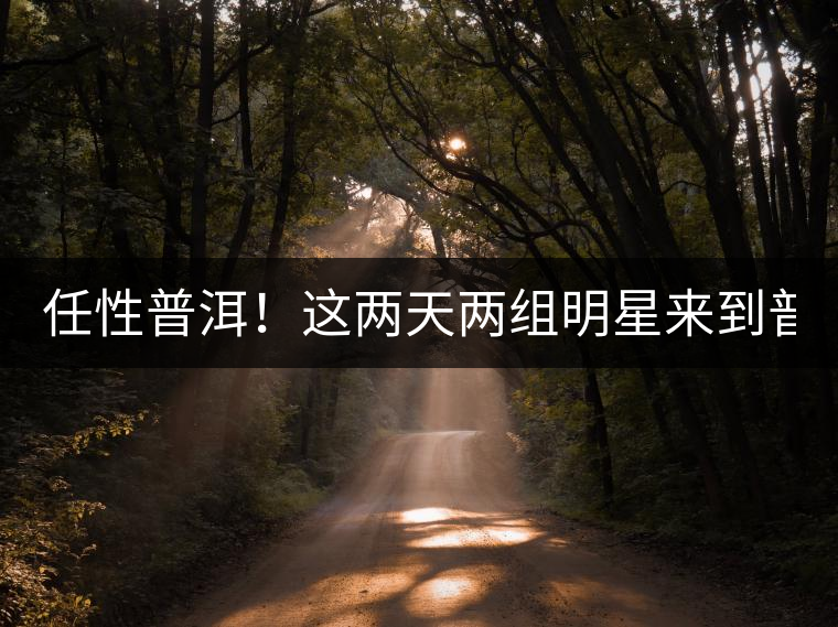 任性普洱！這兩天兩組明星來(lái)到普洱！