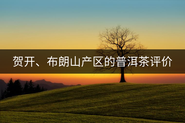 賀開、布朗山產(chǎn)區(qū)的普洱茶評(píng)價(jià)
