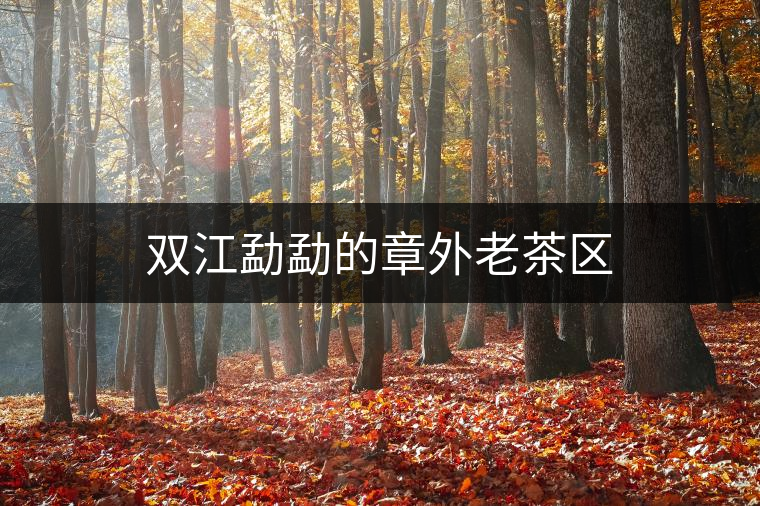雙江勐勐的章外老茶區(qū) 雙江勐勐的章外老茶區(qū)