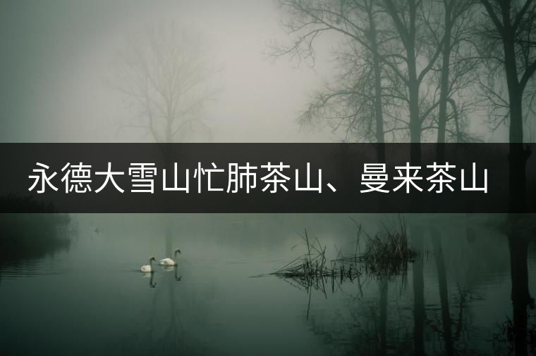 永德大雪山忙肺茶山、曼來茶山、放牛場茶園的生態(tài)指數(shù)