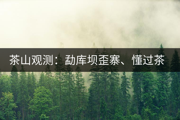 茶山觀測：勐庫壩歪寨、懂過茶山、大戶寨等茶山的生態(tài)指數(shù)