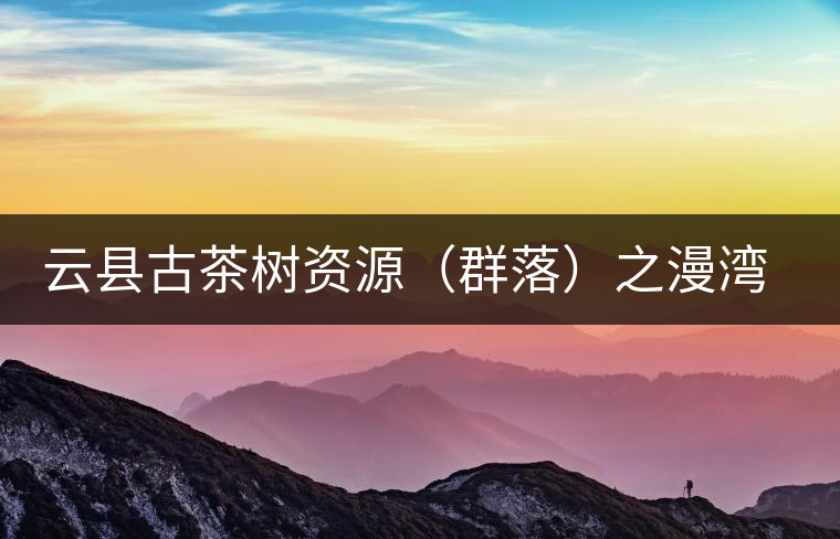 云縣古茶樹資源（群落）之漫灣鎮(zhèn)、茂蘭鎮(zhèn)大丙山