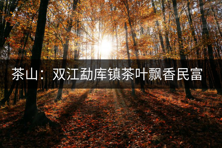 茶山：雙江勐庫(kù)鎮(zhèn)茶葉飄香民富裕