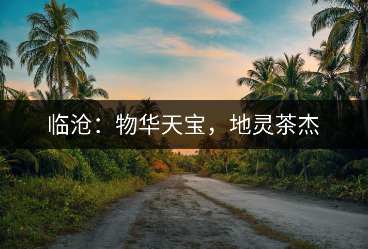 臨滄：物華天寶，地靈茶杰