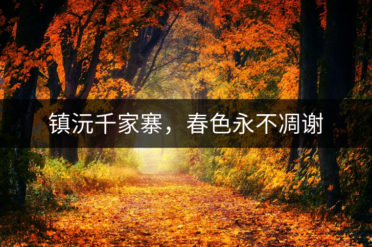 鎮(zhèn)沅千家寨，春色永不凋謝