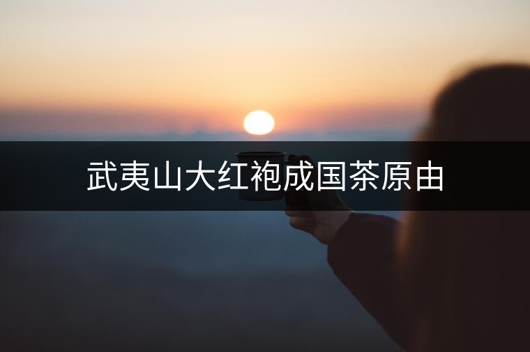 武夷山大紅袍成國(guó)茶原由 武夷山大紅袍成國(guó)茶原由